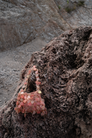 Infinitude Bag in Coral